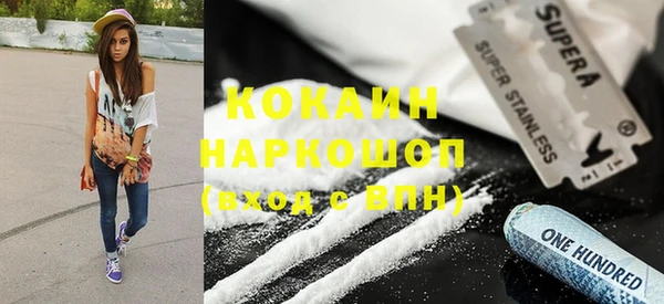 прущие грибы Переславль-Залесский