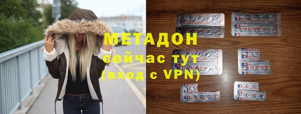 прущие грибы Переславль-Залесский