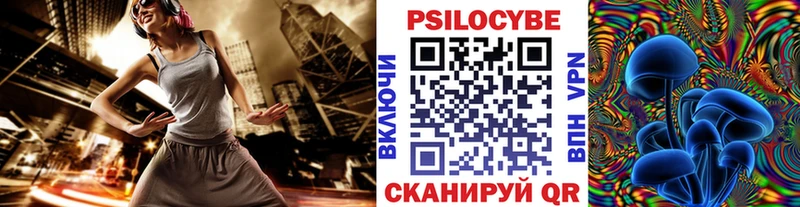 Галлюциногенные грибы Psilocybine cubensis Кувандык